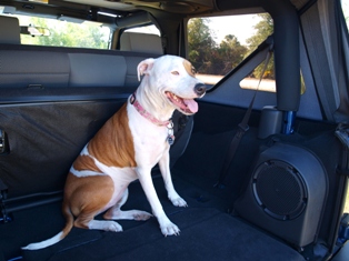 Jeep Wrangler Storage Space
